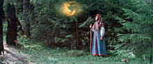 Lade das Bild in den Galerie-Viewer, Der Hirsch mit dem goldenen Geweih (DVD)