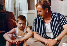 Lade das Bild in den Galerie-Viewer, Alfons Zitterbacke (DVD)