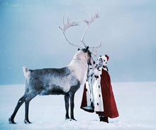 Lade das Bild in den Galerie-Viewer, Die Schneekönigin (Blu-ray)