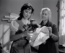 Lade das Bild in den Galerie-Viewer, Wenn die Kraniche ziehen - Special Restored Edition (Blu-ray)