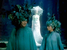 Lade das Bild in den Galerie-Viewer, Die kleine Seejungfrau (DVD)