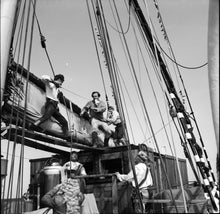 Lade das Bild in den Galerie-Viewer, Hannes Scharf (2 DVD)