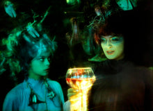 Lade das Bild in den Galerie-Viewer, Die kleine Seejungfrau (DVD)