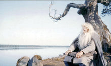 Lade das Bild in den Galerie-Viewer, Sampo - Das gestohlene Glück (DVD)