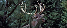 Lade das Bild in den Galerie-Viewer, Der Hirsch mit dem goldenen Geweih (Blu-ray)
