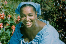 Lade das Bild in den Galerie-Viewer, Paul und Virginie - Die komplette Abenteuerserie (4 DVDs)