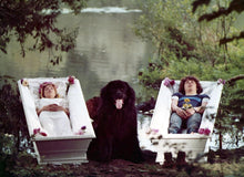 Lade das Bild in den Galerie-Viewer, Sieben Sommersprossen (DVD)