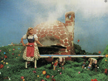 Lade das Bild in den Galerie-Viewer, Frau Holle - Das Märchen von Goldmarie und Pechmarie (1961) (Schongerfilm-Märchen) (DVD)