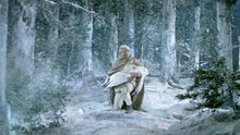 Lade das Bild in den Galerie-Viewer, Sampo - Das gestohlene Glück (DVD)