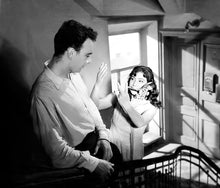 Lade das Bild in den Galerie-Viewer, Wenn die Kraniche ziehen - Special Restored Edition (Blu-ray)