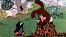 Lade das Bild in den Galerie-Viewer, Der kleine Maulwurf DVD 8