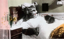 Lade das Bild in den Galerie-Viewer, Rotkäppchen (1954) Schongerfilm-Märchen) (DVD)