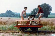 Lade das Bild in den Galerie-Viewer, Heißer Sommer (DVD)
