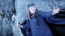 Lade das Bild in den Galerie-Viewer, Sampo - Das gestohlene Glück (DVD)