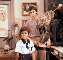 Lade das Bild in den Galerie-Viewer, Schuleule Paula und andere Kinderklassiker