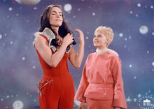 Lade das Bild in den Galerie-Viewer, Der kleine Prinz (DVD)