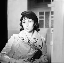 Lade das Bild in den Galerie-Viewer, Die Heimkehr des Joachim Ott