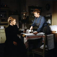 Lade das Bild in den Galerie-Viewer, Theodor Fontane: Frauenbilder Vol. 5 - Die Poggenpuhls