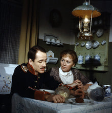 Lade das Bild in den Galerie-Viewer, Theodor Fontane: Frauenbilder Vol. 5 - Die Poggenpuhls