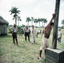 Lade das Bild in den Galerie-Viewer, Die letzten Tage des Georg W.  (DVD)
