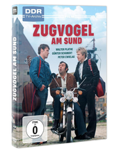 Lade das Bild in den Galerie-Viewer, Zugvogel am Sund (DVD)
