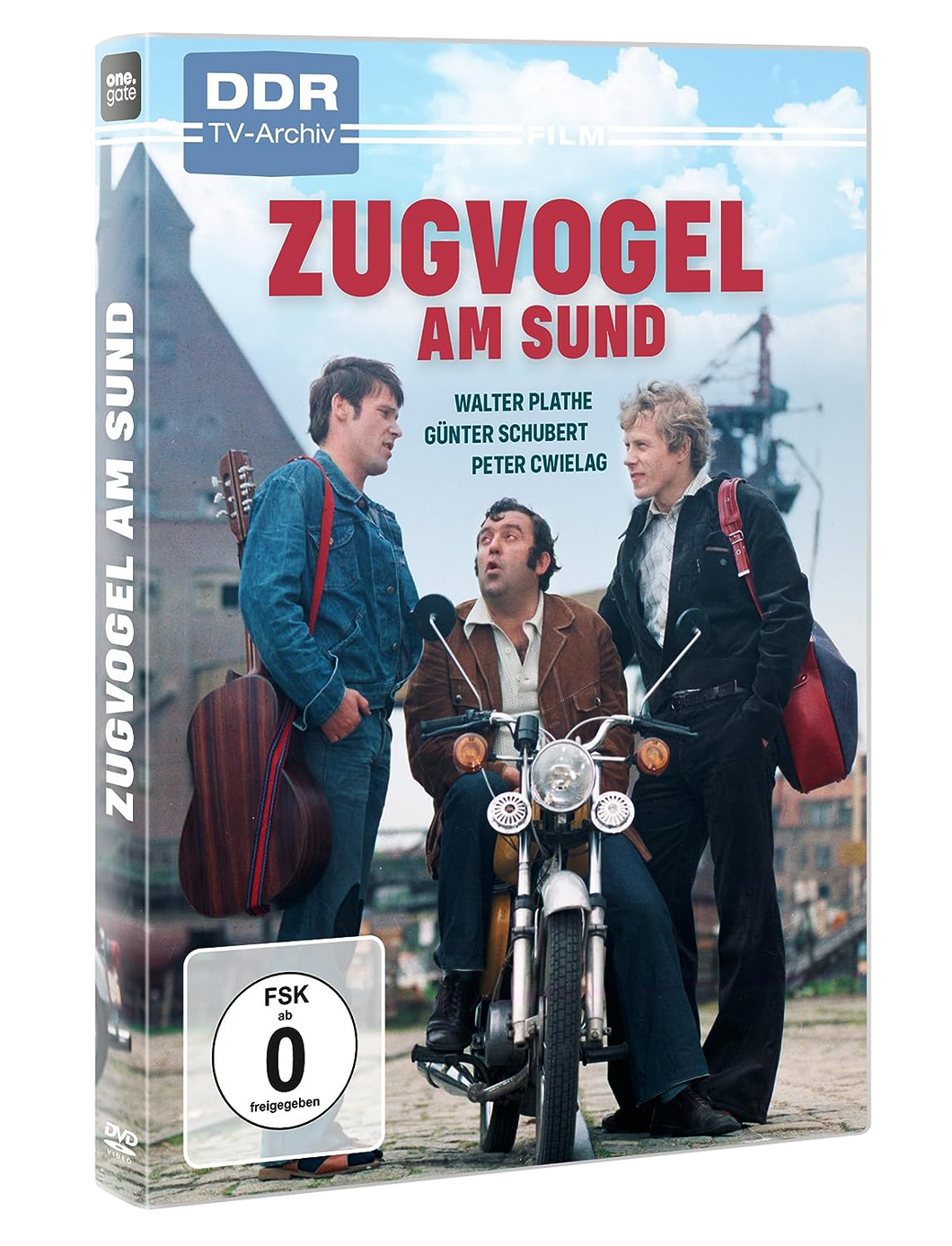 Zugvogel am Sund (DVD)