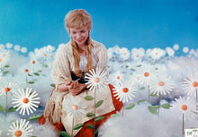 Lade das Bild in den Galerie-Viewer, Frau Holle (DVD)
