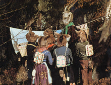 Lade das Bild in den Galerie-Viewer, Der Wolf und die sieben jungen Geißlein (1957) (DVD)
