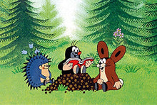 Lade das Bild in den Galerie-Viewer, Der kleine Maulwurf - Komplettbox (9 DVDs)
