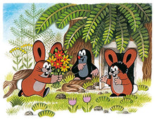 Lade das Bild in den Galerie-Viewer, Der kleine Maulwurf - Komplettbox (9 DVDs)
