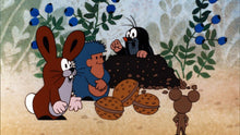 Lade das Bild in den Galerie-Viewer, Der kleine Maulwurf DVD 7
