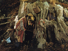 Lade das Bild in den Galerie-Viewer, Der Wolf und die sieben jungen Geißlein (1957) (DVD)
