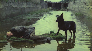 Stalker – Special Restored Edition (DVD)
