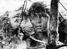 Lade das Bild in den Galerie-Viewer, Iwans Kindheit – Special Restored Edition (DVD)
