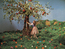Lade das Bild in den Galerie-Viewer, Frau Holle - Das Märchen von Goldmarie und Pechmarie (1961) (Schongerfilm-Märchen) (DVD)
