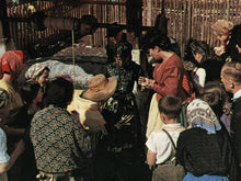 Lade das Bild in den Galerie-Viewer, Frau Holle - Das Märchen von Goldmarie und Pechmarie (1961) (Schongerfilm-Märchen) (DVD)
