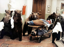 Lade das Bild in den Galerie-Viewer, Sechs Bären und ein Clown aka Sechs Bären mit Zwiebel - Special Edition mit beiden Synchronfassungen (DDR &amp; BRD)
