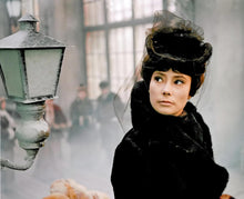 Lade das Bild in den Galerie-Viewer, Anna Karenina (1967) (inkl. Langfassung) (2DVDs)
