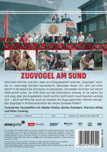 Lade das Bild in den Galerie-Viewer, Zugvogel am Sund (DVD)
