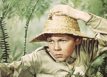 Lade das Bild in den Galerie-Viewer, Reise in die Urzeit (DVD)
