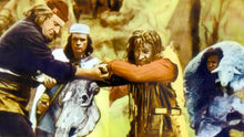 Lade das Bild in den Galerie-Viewer, Sampo - Das gestohlene Glück (DVD)
