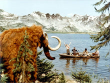 Lade das Bild in den Galerie-Viewer, Reise in die Urzeit (DVD)
