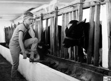 Lade das Bild in den Galerie-Viewer, Kaule (DVD)
