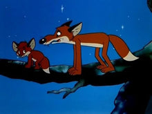 Lade das Bild in den Galerie-Viewer, Vuk - Der kleine Fuchs / Aus dem Leben eines Fuchses (Special Edition mit beiden deutschen Synchronfassungen: DDR/BRD) (DVD)
