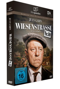 Wiesenstraße Nr. 10