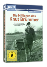 Lade das Bild in den Galerie-Viewer, Die Millionen des Knut Brümmer
