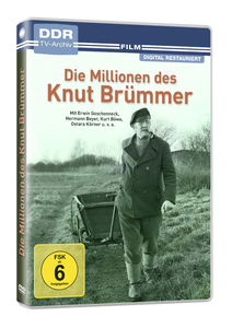 Die Millionen des Knut Brümmer