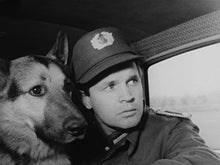 Lade das Bild in den Galerie-Viewer, Harras, der Polizeihund (DVD)
