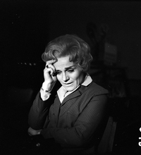 Lade das Bild in den Galerie-Viewer, Kriminalfälle ohne Beispiel – Der Fall Brühne-Ferbach (DVD)
