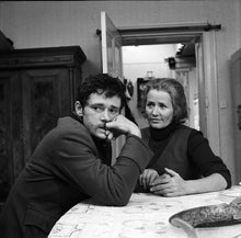 Lade das Bild in den Galerie-Viewer, Heimkehr in ein fremdes Land (2 DVD)
